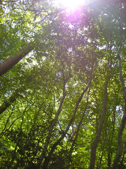 b0183911_10575048.jpg