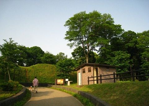 c0084117_20412256.jpg