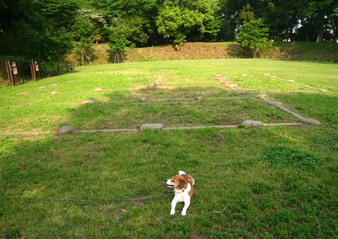 c0084117_21111582.jpg