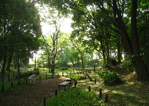 c0084117_21154092.jpg