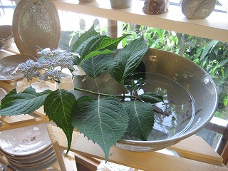 f0139520_99377.jpg