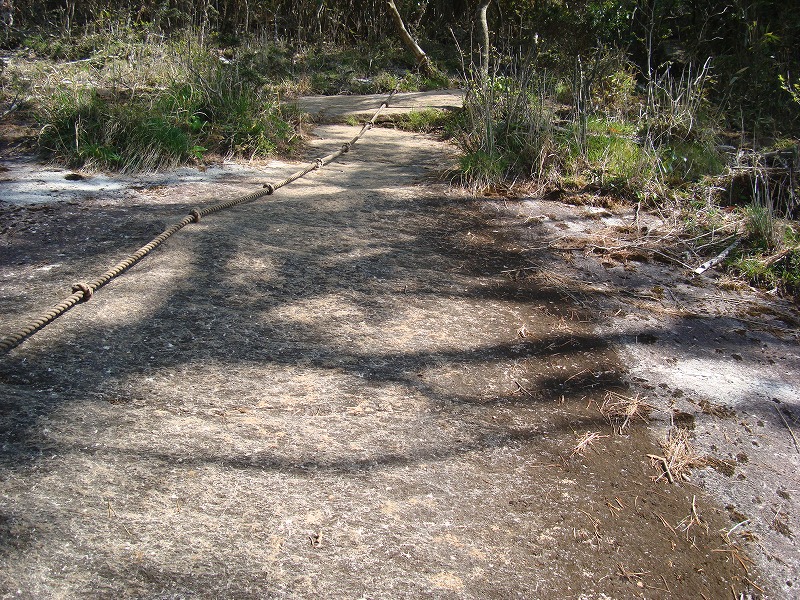 f0193521_13111449.jpg