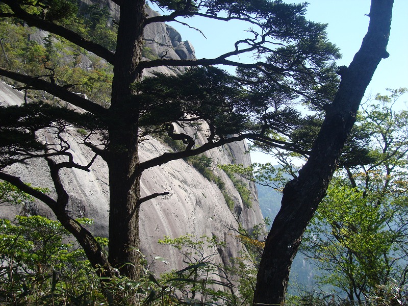 f0193521_13162025.jpg
