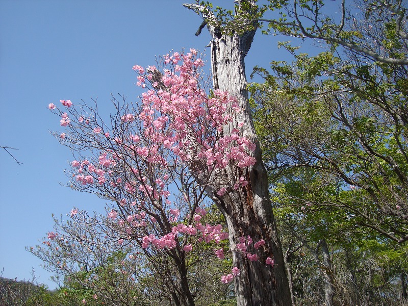 f0193521_13172880.jpg