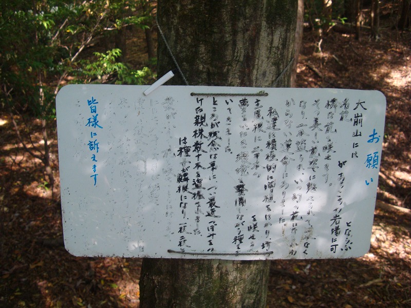 f0193521_1371610.jpg