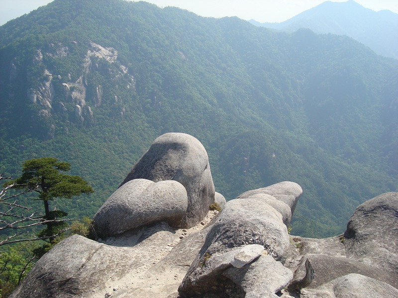 f0193521_1394169.jpg