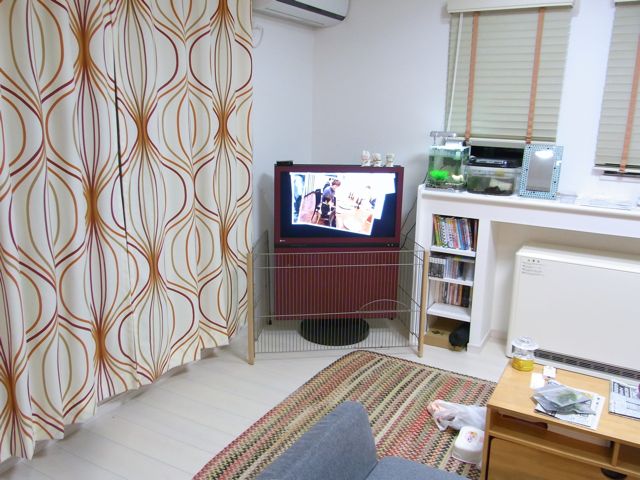 c0202722_0253098.jpg