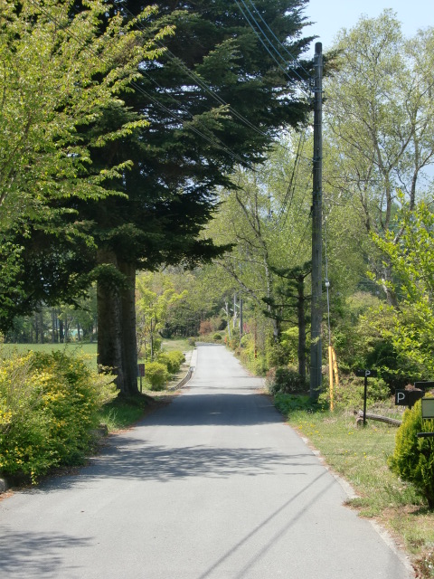 c0220724_154167.jpg