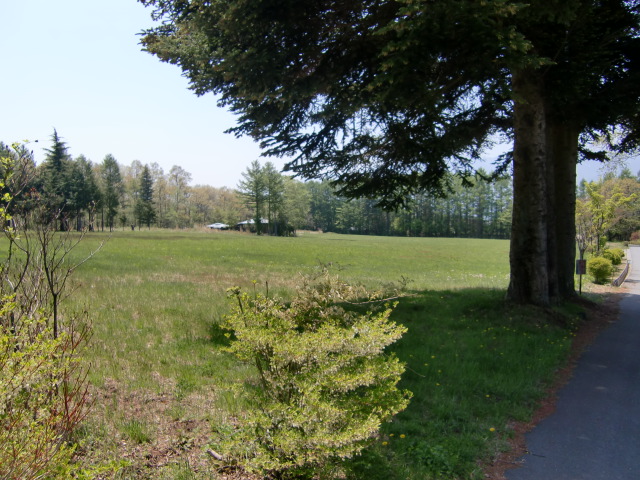 c0220724_1552118.jpg