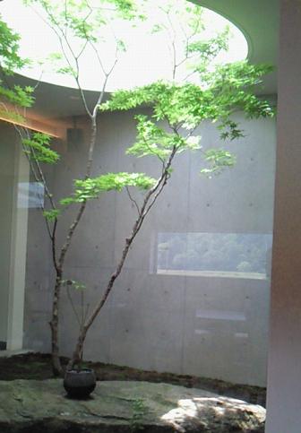 b0138430_20532331.jpg