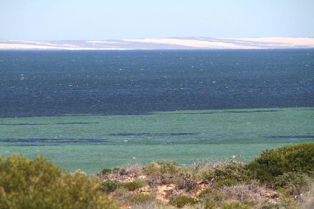 e0064133_17485674.jpg