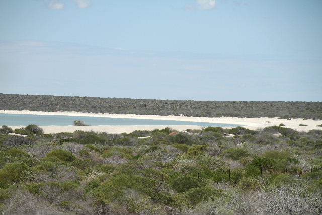 e0064133_1752149.jpg