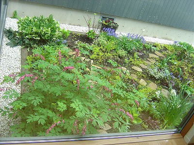 f0205733_9562232.jpg