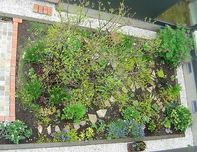 f0205733_9564969.jpg