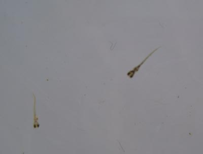 e0097534_17144165.jpg
