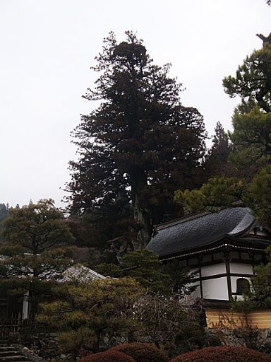 b0012636_234162.jpg