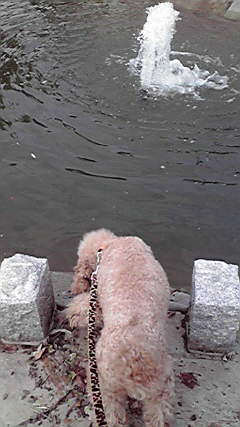 c0136736_19343677.jpg