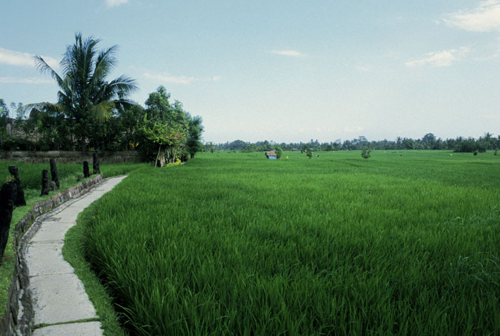 b0042837_3435827.jpg