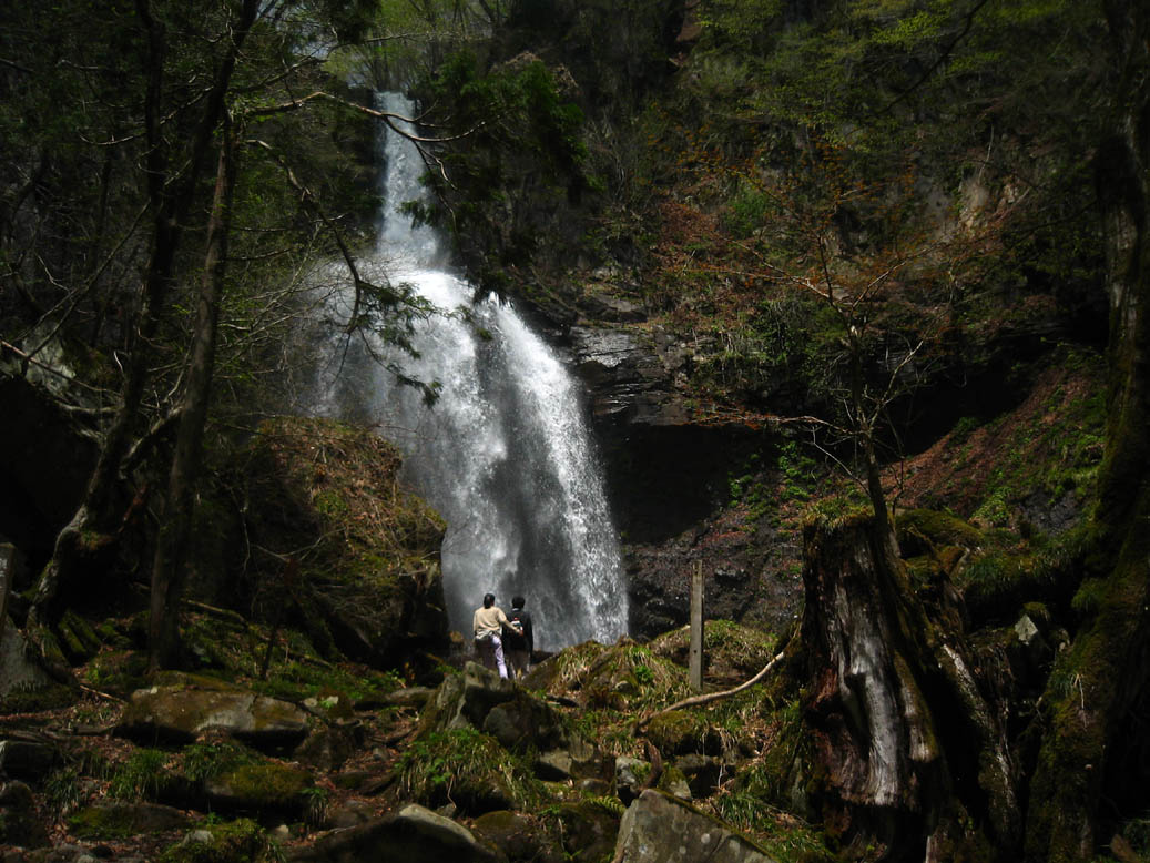 f0056038_912895.jpg