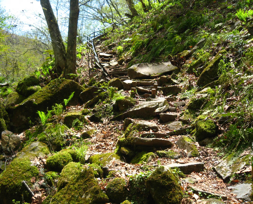 f0056038_93287.jpg