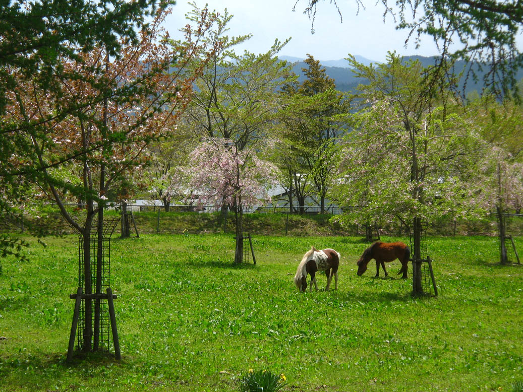 f0056038_943270.jpg