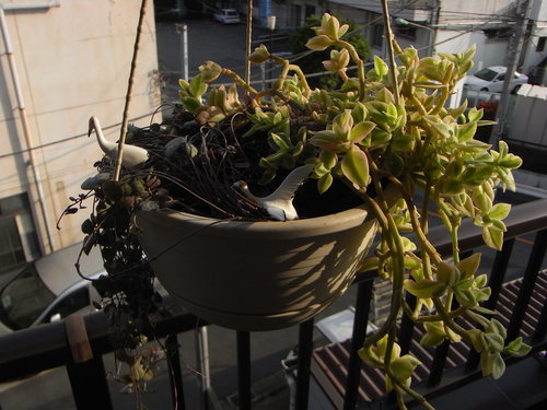 b0141042_18465080.jpg