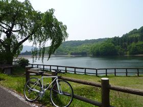b0220251_13333311.jpg
