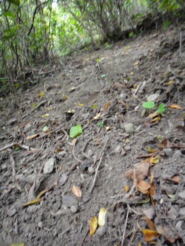 c0179351_16185482.jpg