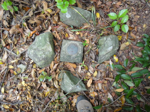 c0179351_16232863.jpg