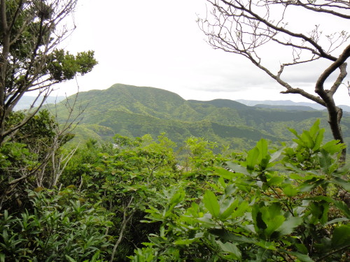 c0179351_1624753.jpg