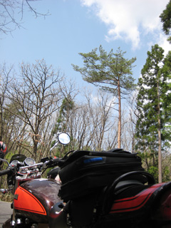 a0052952_18373060.jpg
