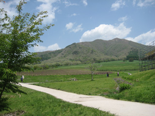a0052952_18374254.jpg