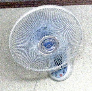 d0031853_3445520.jpg