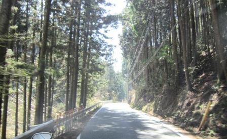 b0173754_164546.jpg