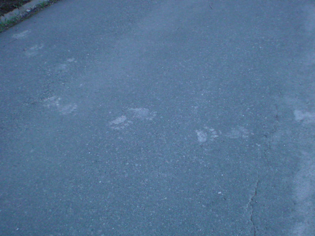 c0105157_1905558.jpg