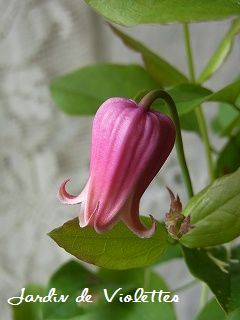 e0118257_1528208.jpg