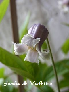 e0118257_1529159.jpg
