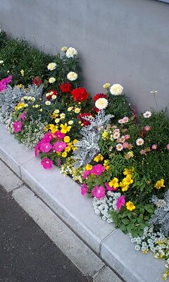 f0122259_1717176.jpg
