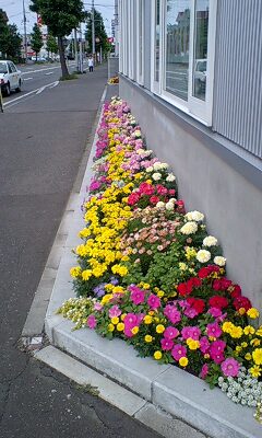 f0122259_17175735.jpg