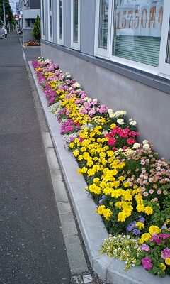 f0122259_1793222.jpg