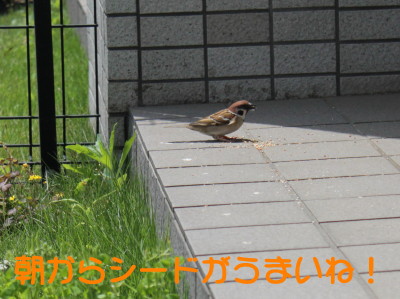 b0158061_21115475.jpg