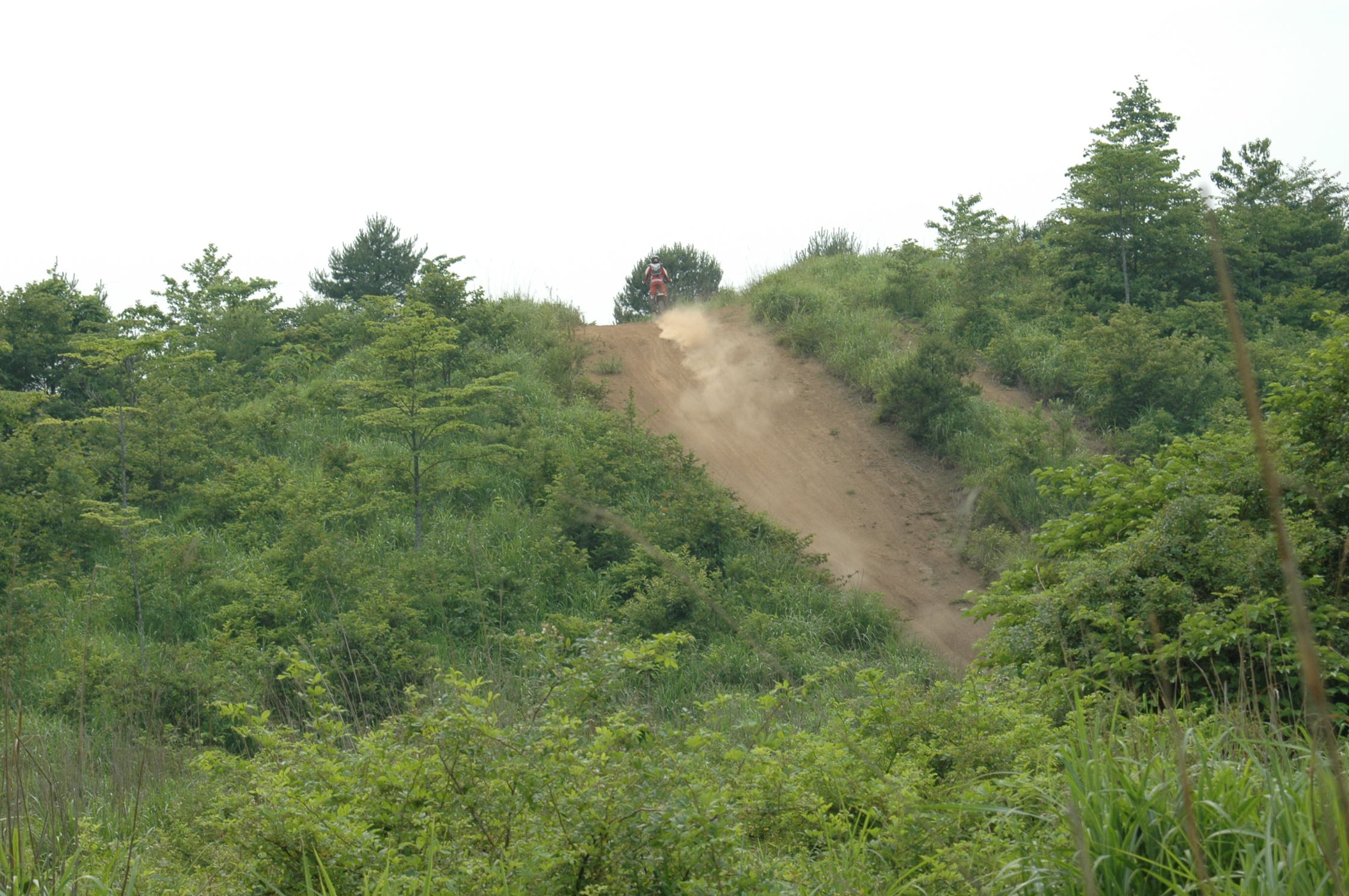 c0198263_0472459.jpg