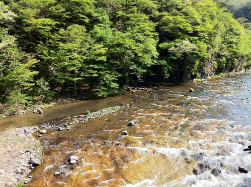 e0151566_11331899.jpg