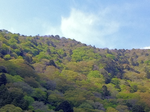 e0151566_11341781.jpg