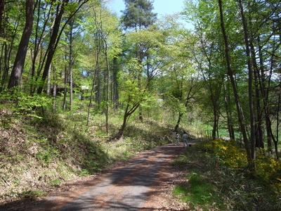 c0166668_11363035.jpg