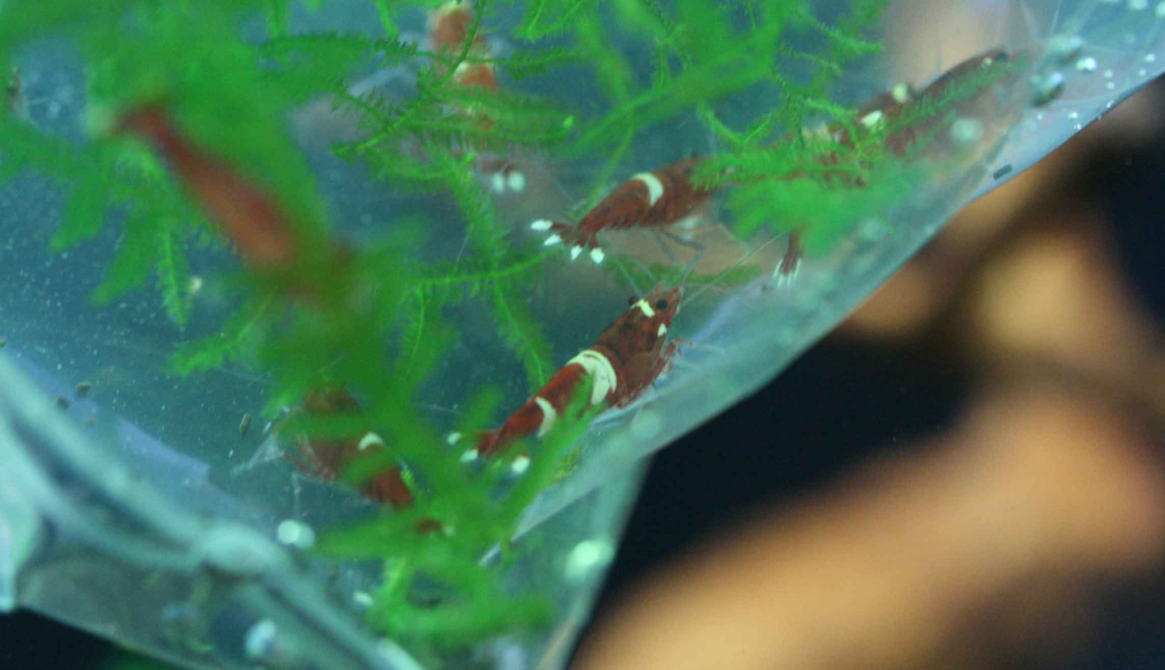f0224970_2148753.jpg