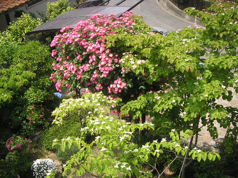 b0175571_13151310.jpg