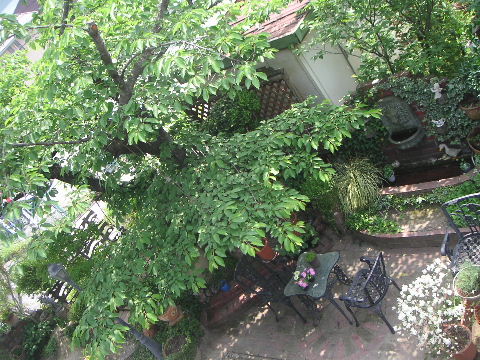 b0175571_13152581.jpg