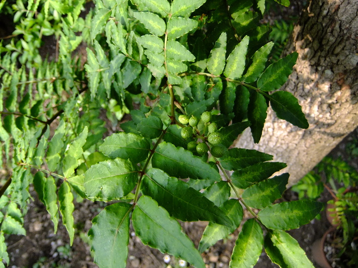 d0225575_912061.jpg