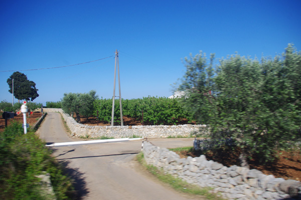 d0039584_1317439.jpg